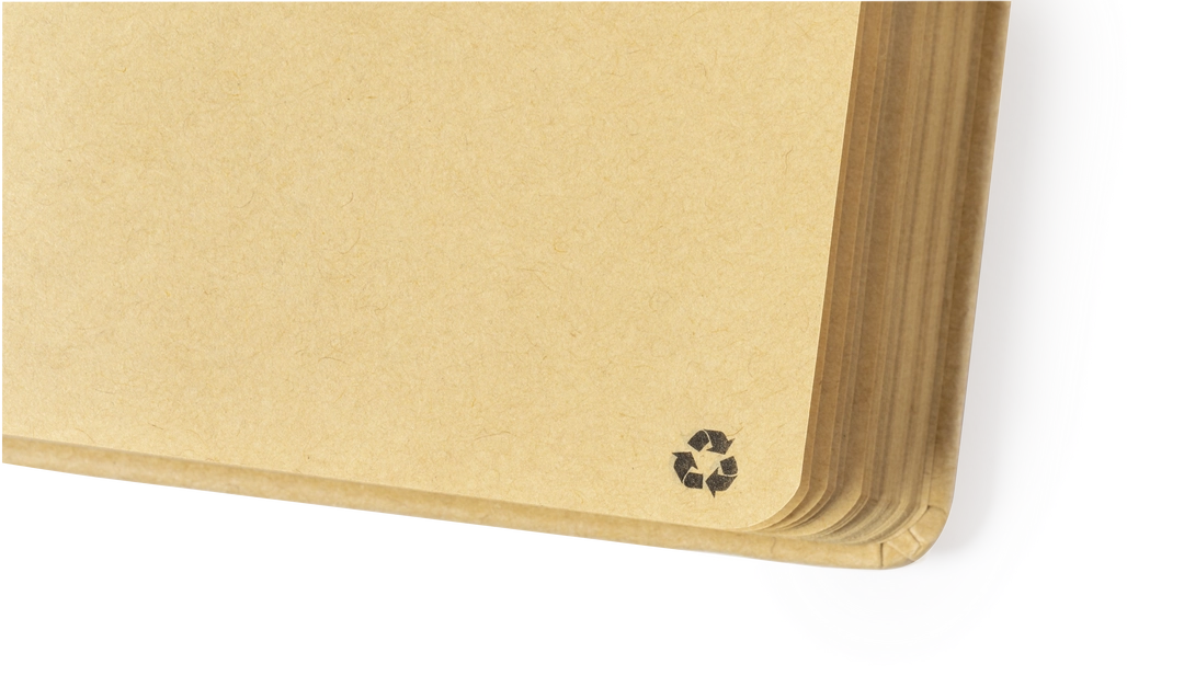 STREG – Edition 01